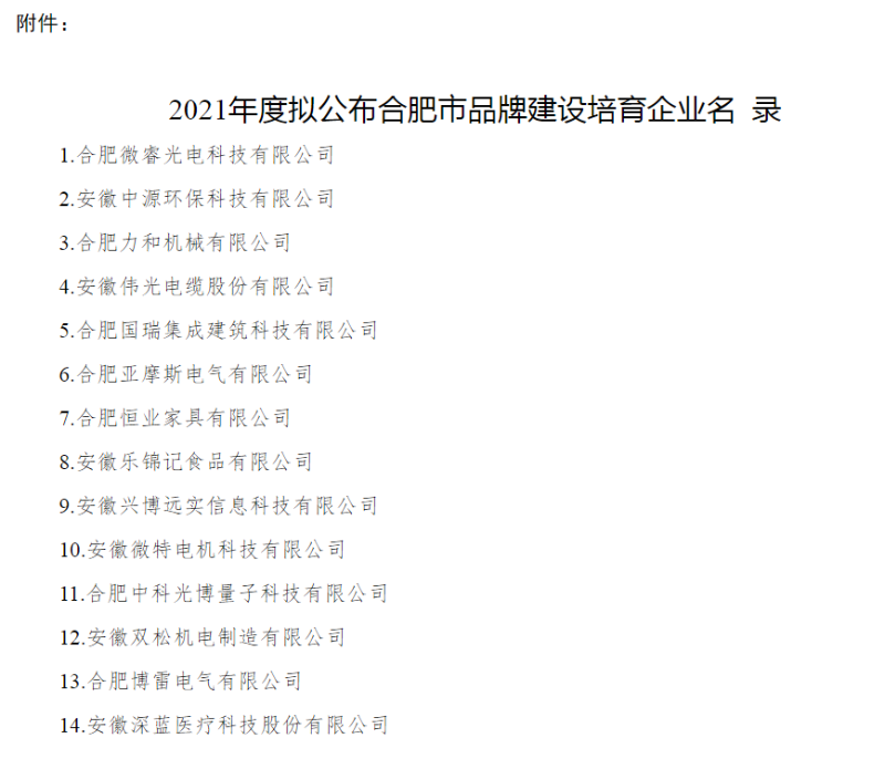 合肥市品牌建設(shè)培育企業(yè)名單 合肥市品牌建設(shè)培育企業(yè)名單