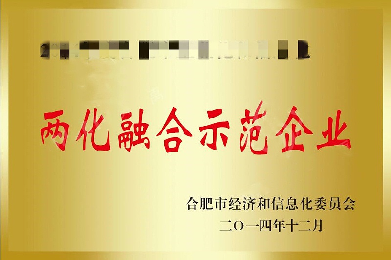 兩化融合示范企業 (2)